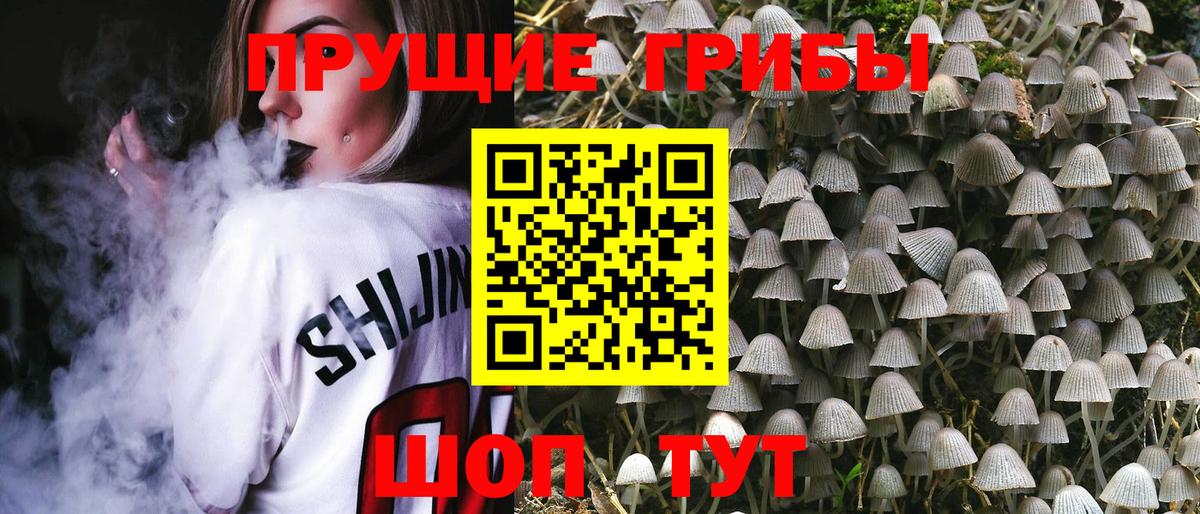 Галлюциногенные грибы Psilocybine cubensis Сухой Лог